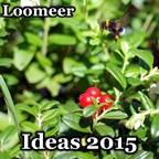 Loomeer - Ideas 2015