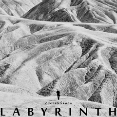 The Faint Smile - Labyrinth