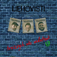 TROM 8 - Liehovisti - Triezvych nás nedostanú EP