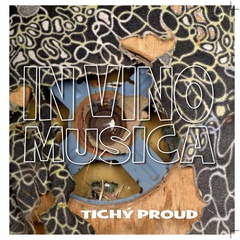 IVM - Tichý Proud